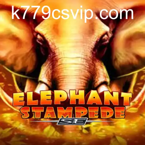 ElephantStampedeSE